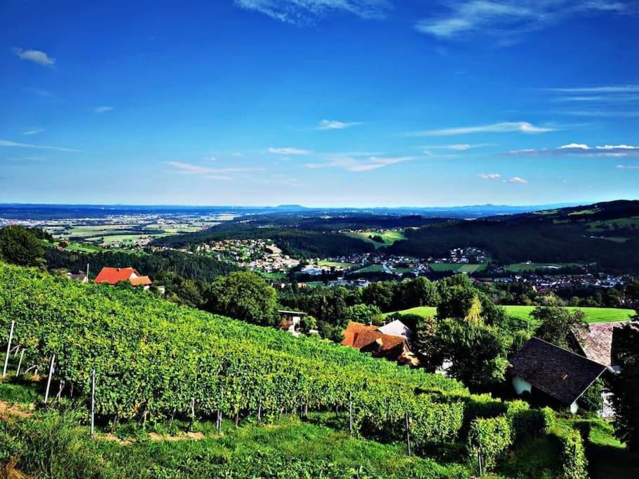 Wiednermichl - Urlaub In Den Weinbergen Krottendorf bei Ligist Eksteriør billede